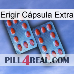 Erigir Cápsula Extra 05